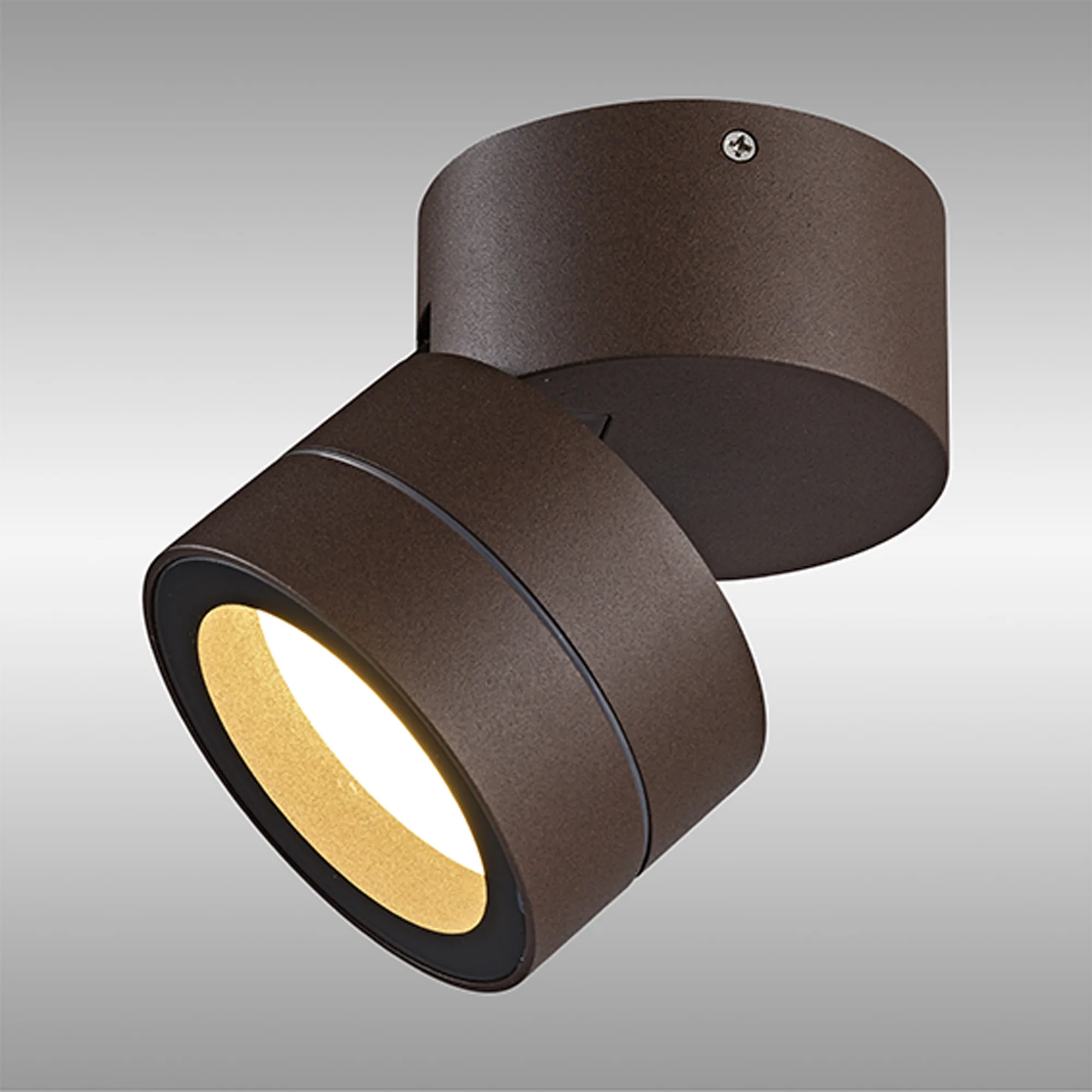 Saler Rust Brown Exterior Lights Mantra Fusion Flush Fittings